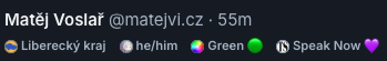 Náhled příspěvku od Matěj Voslař. Pod jménem jsou zobrazeny labely: Liberecký kraj, he/him, Green, Speak Now